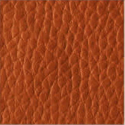 Leather-310